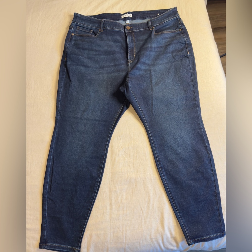 Lane Bryant Dark Wash Skinny Jeans
